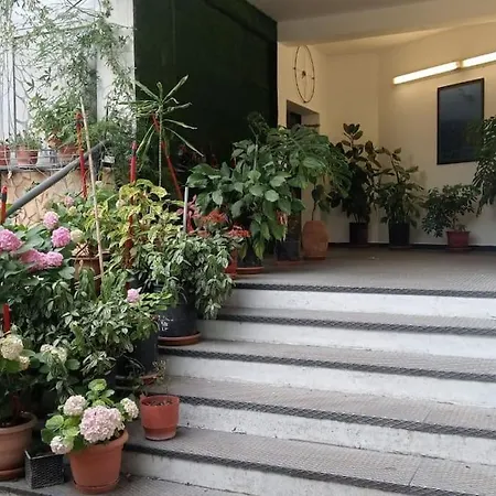 Pazari_ri_studio